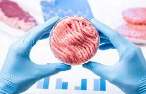 ¿Gran Bretaña se está volviendo vegana a escondidas? El gobierno invierte 15 millones de libras en un laboratorio de carne falsa para crear “proteínas alternativas” respetuosas con el medio ambiente… ¿podrían estar abriéndose camino pronto en las salchichas y hamburguesas?