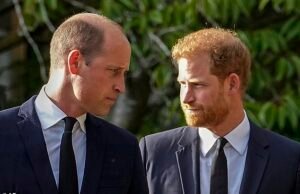 El duque de Sussex pide a sus antiguos ayudantes que le ayuden a planificar su REGRESO de su exilio en Estados Unidos en la primera etapa de su estrategia de “rehabilitación”: los amigos del príncipe prometen ayudar a allanar el camino de regreso y lo denominan “Operación para traer a Harry del frío”