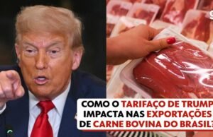 ‘Supervacus’ que hizo de Brasil el mayor exportador de carne del mundo