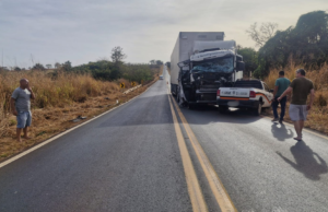 Ema murió después de un accidente al cruzar una carretera en Uberlandia