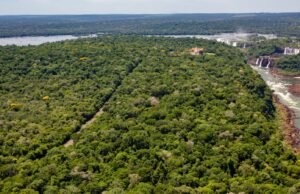UIRAU grabado por primera vez en el video del Parque Nacional de Iiguau
