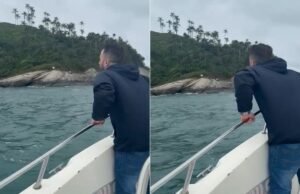 Video Family Mostrar lancha rápida