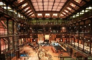 Conozca la ausencia de oro para el robo del siglo y el personal del museo