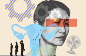 Problemas menores: Guía de supervivencia familiar para perimenopose