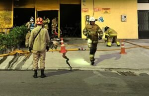 El fuego llega a la agricultura en el currículum