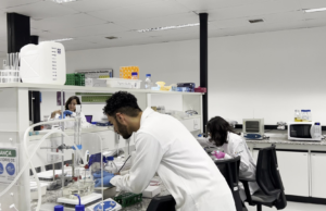 CNPEM abre artículos para un título universitario gratuito en ciencias y tecnología