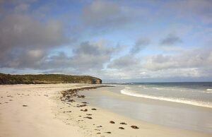 Isla Kangaroo: Surfer mordido dos veces por un tiburón se dirige al hospital para una cirugía de emergencia