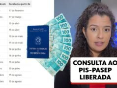 Bono Salarial PIS/Paispe Lote Adicional: ¿Quién tiene derecho? ¿Cómo consultar los valores publicados?