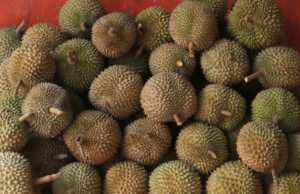 ‘Gas’ iluminado? Los durianos en Alemania informan fugas de gas a los bomberos tres veces al día