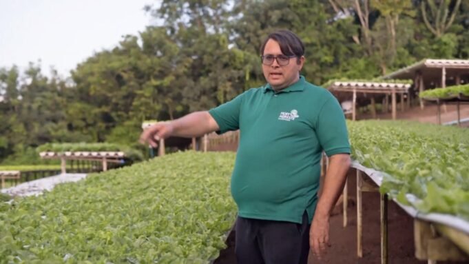 golpe-do-tomate.jpg