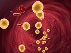 La grasa “invisible” en el estómago y el hígado puede causar daños silenciosos a las arterias, según muestra un estudio canadiense