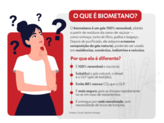 Prudentes pioneros en redes urbanas alimentadas por biometano