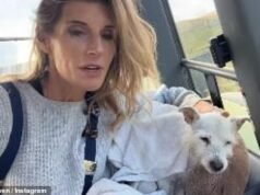 Amanda Owen quedó devastada al anunciar la desgarradora pérdida familiar en Ravenseat Farm