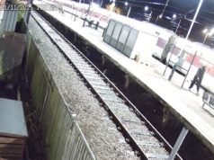 Momento impactante: un pasajero inocente grita “no soy yo” mientras la policía le aplica una Taser en el andén del tren de Huntingdon después de que un ataque con cuchillo dejara 11 heridos.