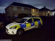 Bebé de nueve meses muere tras ataque de perro en su casa en Gales