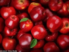 ¿Puede una manzana al día REALMENTE mantener alejado al médico? Los expertos revelan cómo hacer que las frutas crujientes sean aún más nutritivas