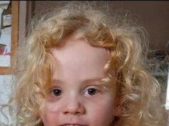 Actualización explosiva en la búsqueda del niño desaparecido Gus Lamont, mientras la policía revela el último nuevo movimiento