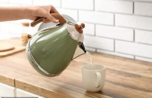 La Generación Z cancela el KETTLE: los jóvenes predicen cómo serán nuestras cocinas dentro de 50 años y dicen que el aparato para preparar té será cosa del pasado