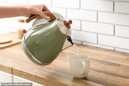La Generación Z cancela el KETTLE: los jóvenes predicen cómo serán nuestras cocinas dentro de 50 años y dicen que el aparato para preparar té será cosa del pasado