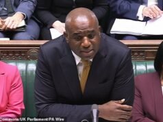 QUENTIN LETTS: Lammy dijo a los parlamentarios “nunca lo olvidaremos”, pero él olvidó su amapola, ¿no?