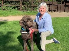 Furia porque los vendedores de amapolas reciben una multa de £ 90 por estacionar en Lidl mientras recolectaban para la Royal British Legion