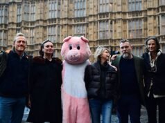 La organización benéfica de derechos animales que afirma que Lily Allen, Hugh Grant y Sting son seguidores difunde conspiraciones antisemitas que culpan a los ‘sionistas’ por el Holocausto, el 11 de septiembre y la guerra en Ucrania.