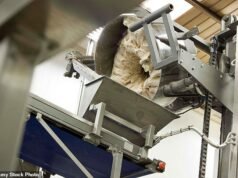 Baker muere estrangulada por su propia panificadora cuando su bufanda queda atrapada en la máquina mezcladora de masa.