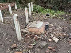 Gané £25,000 después de que mi abogado de traspasos no pudo detectar un viejo tanque séptico en el jardín.