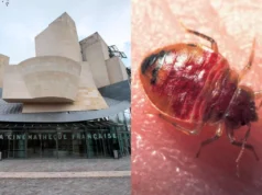 Las chinches cierran prestigiosos cines de París