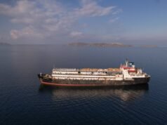 Barco con 3.000 vacas: Europa bajo presión para salvar animales