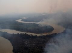 Las emisiones de gases de efecto invernadero de Brasil son la mayor caída en 16 años, pero aún es poco probable que el país cumpla sus objetivos climáticos