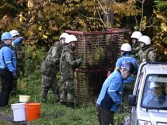 Japón está movilizando al ejército para combatir los ataques de osos mortales