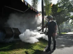 Un control de plagas más seguro y sostenible bajo nuevos marcos