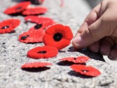 Los jueces principales respaldan la prohibición de la amapola después de una reacción violenta