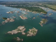 Brasil destruirá afluentes del Amazonas para transportar granos a medida que avanza la frontera sojera