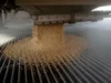Beijing ha eliminado algunos aranceles sobre productos agrícolas estadounidenses, pero los precios de la soja siguen bajos
