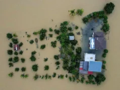 Storm Senior: 1 muerto, 49 árboles caídos, la policía de Selangor en alerta máxima