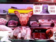España dejó de exportar carne de cerdo a China tras el brote de gripe porcina africana en tres décadas