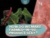 ¿Cómo podemos lograr que los consumidores singapurenses compren huevos, mariscos y verduras cultivados localmente?