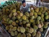 La corona de durian es un tema espinoso en Indonesia, ya que Malasia reclama la fruta