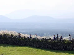 Por primera vez se ha encontrado una especie de mosquito tropical en la península de Corea