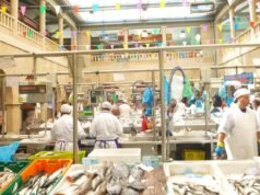 Adiós al marisco gallego: Tres países crean crisis en los precios del rock en una subasta