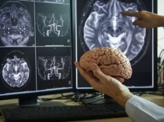 ¿Cómo elige el cerebro conservar u olvidar los recuerdos?