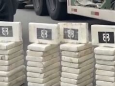 Incautados cerca de 120 kilos de cocaína y cannabis tipo skunk en una carretera de Bahía