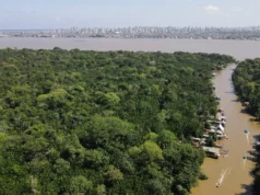 Reino Unido no invertirá en fondo forestal brasileño clave para la COP30