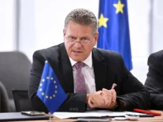 La UE y China crean canales especiales para garantizar el suministro de tierras raras, dice el comisario