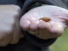 Los agricultores de California rechazan el plan de redistribución de distritos de la Proposición 50