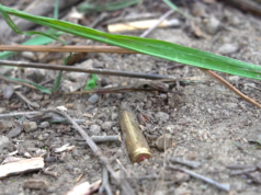 ‘Demoliciones, casas con ametralladoras y policías llorando’: el camarógrafo que siguió la megaoperación relata lo que vio