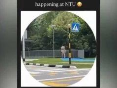Estudiante de NTU arrestado después de ser fotografiado caminando desnudo en el campus