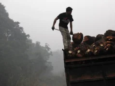 La contaminación del aire podría matar a más personas en el sudeste asiático incluso si se toman medidas climáticas: estudio